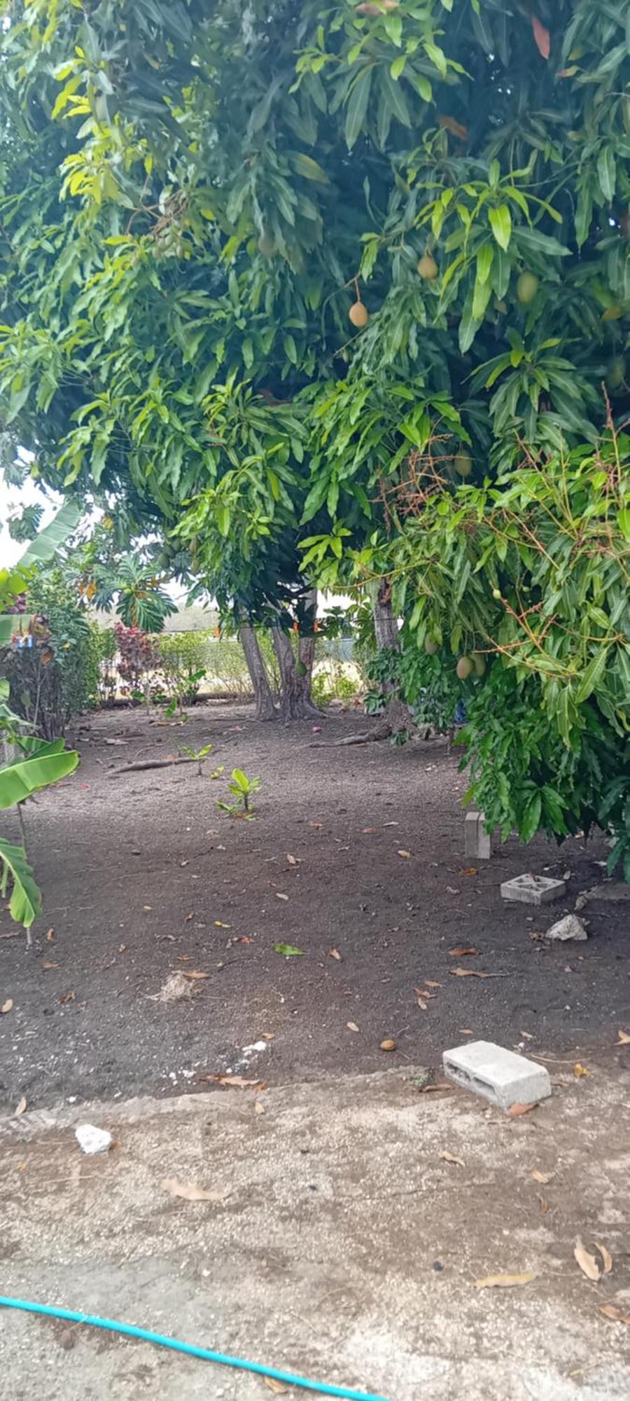 Chandler Homestay Saint Phillip Exterior foto
