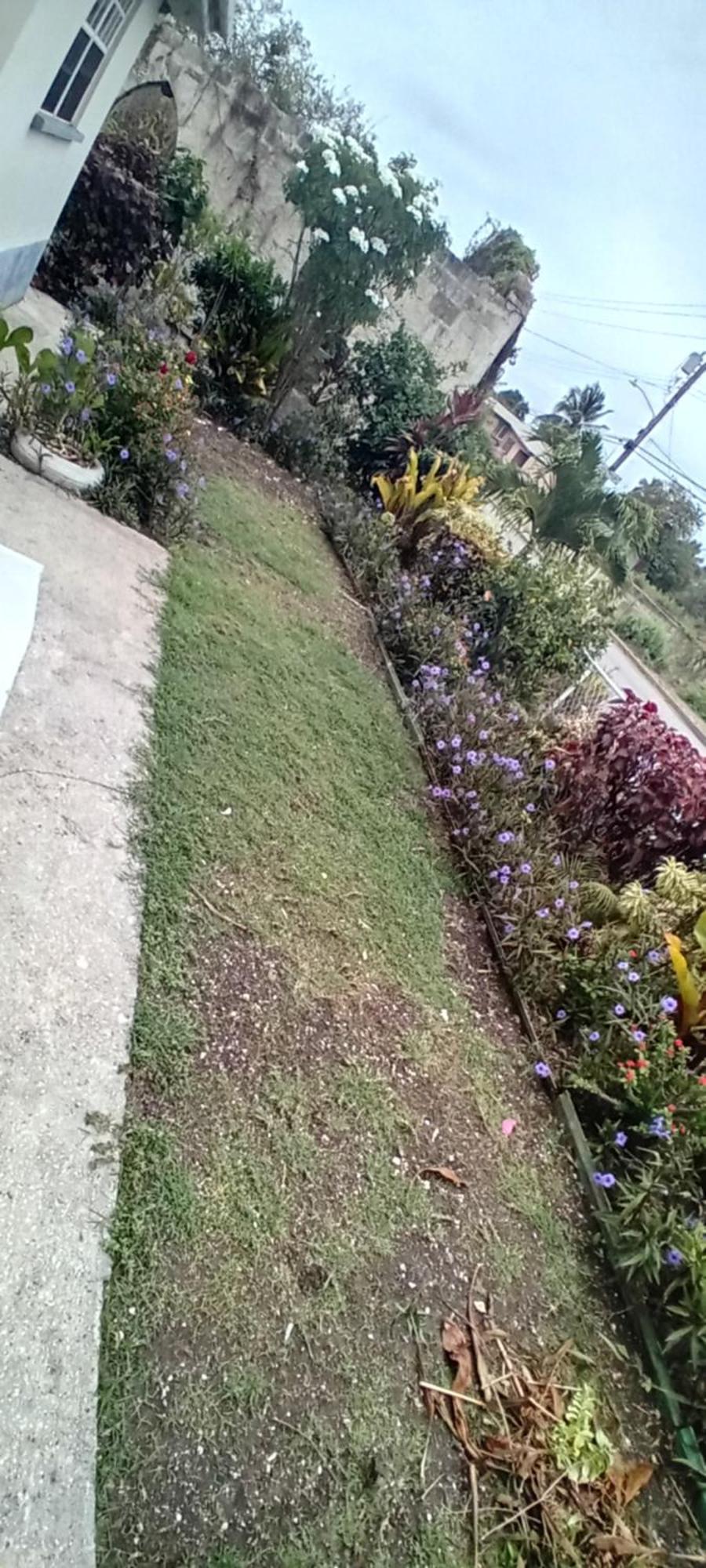 Chandler Homestay Saint Phillip Exterior foto
